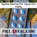 Ajantas Stamina For Vigour And Vitality viagra3